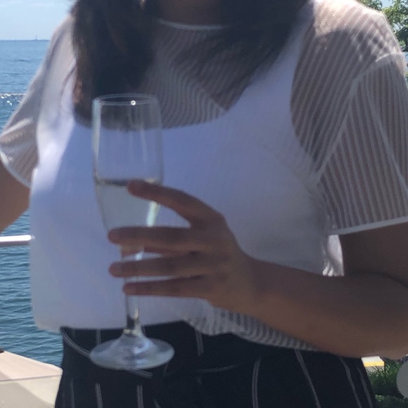 ARITZIA BABATON HUMBERT BELLE SHEER Top - Picture 5 of 5